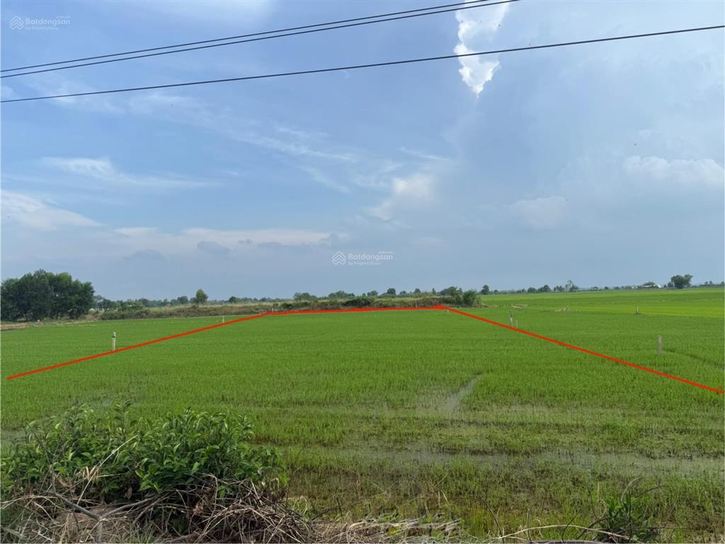 Bất động sản tại Tây Ninh - ảnh 1