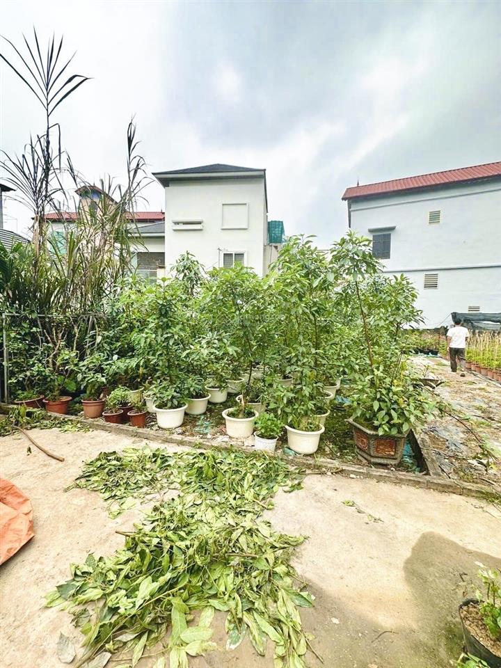 Bất động sản tại Hưng Yên - ảnh 1