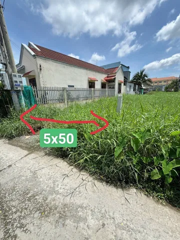 Bất động sản tại Long An - ảnh 1