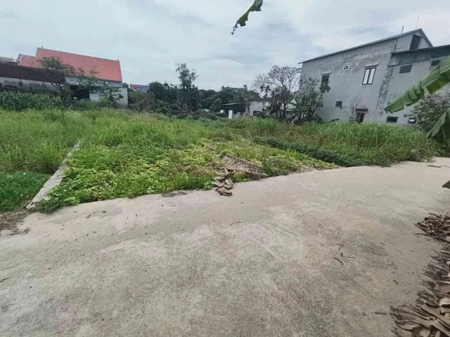 Bất động sản tại Bắc Ninh - ảnh 1