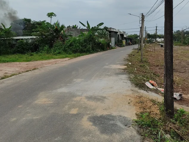 Bất động sản tại Bình Dương - ảnh 1