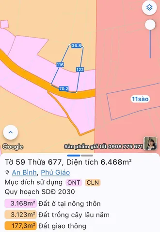 Bất động sản tại Bình Dương - ảnh 1