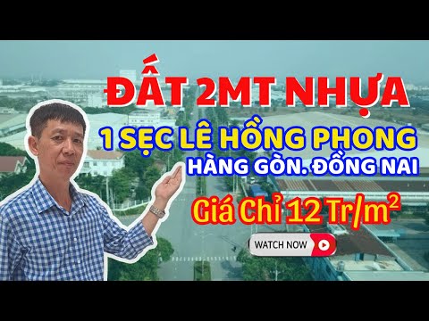 Bất động sản tại Đồng Nai - ảnh 1