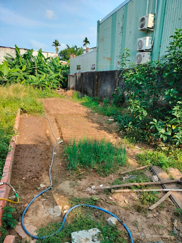 Bất động sản tại Đà Nẵng - ảnh 1