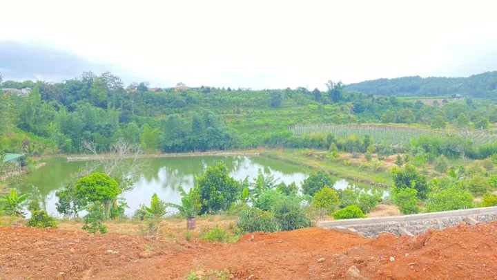 Bất động sản tại Lâm Đồng - ảnh 1