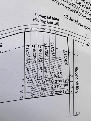 Bất động sản tại Lâm Đồng - ảnh 1