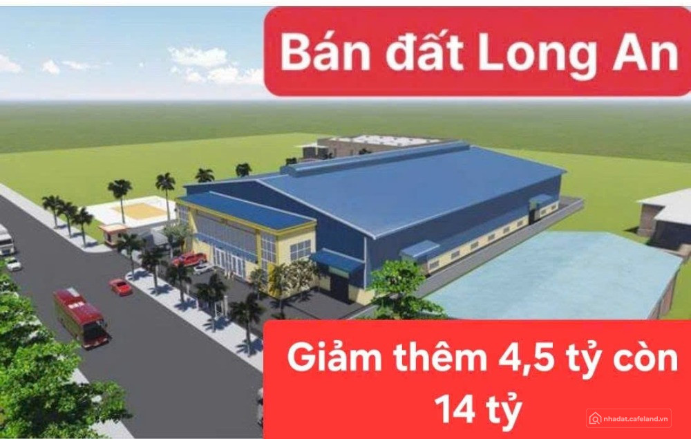 Bất động sản tại Tây Ninh - ảnh 1
