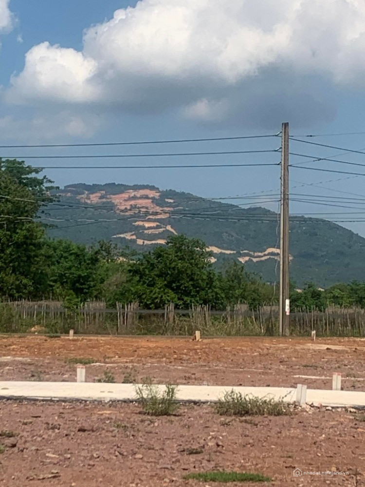 Bất động sản tại Đồng Nai - ảnh 1