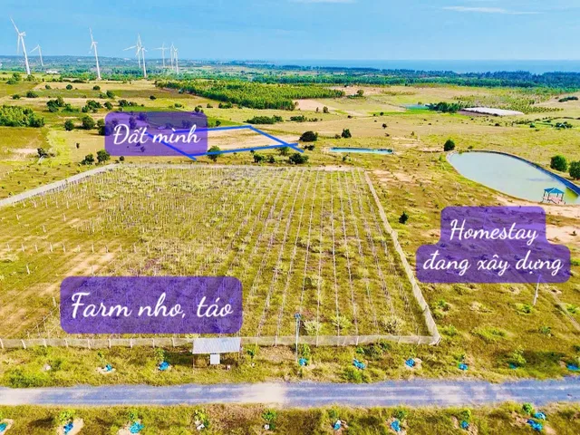 Bất động sản tại Lâm Đồng - ảnh 1