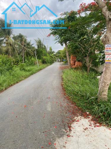 Bất động sản tại Long An - ảnh 1