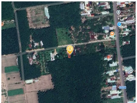 Bất động sản tại Bình Dương - ảnh 1