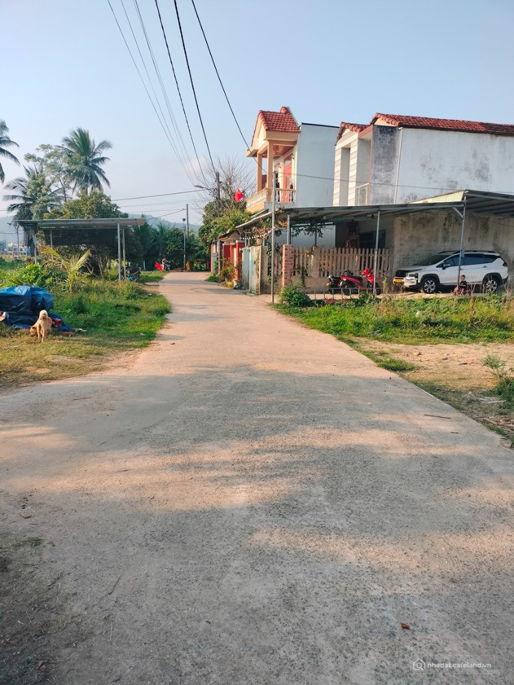 Bất động sản tại Đà Nẵng - ảnh 1