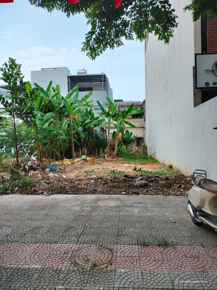 Bất động sản tại Đà Nẵng - ảnh 1