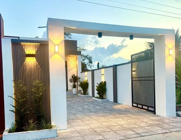 Bất động sản tại Bình Dương - ảnh 1