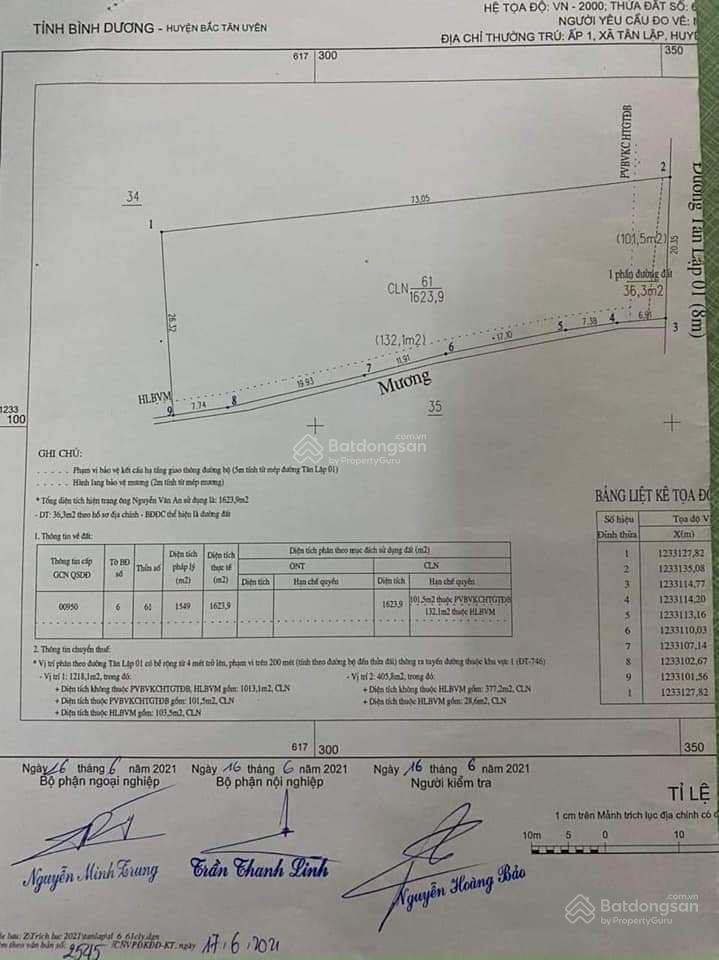 Bất động sản tại Bình Dương - ảnh 1
