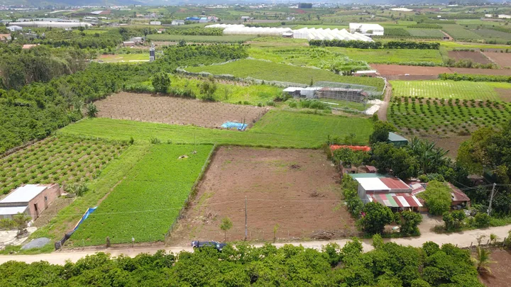 Bất động sản tại Lâm Đồng - ảnh 1