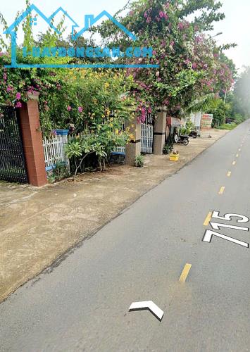 Bất động sản tại Bình Thuận - ảnh 1