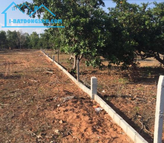 Bất động sản tại Bình Thuận - ảnh 1