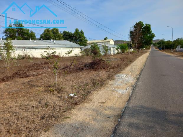 Bất động sản tại Bình Thuận - ảnh 1