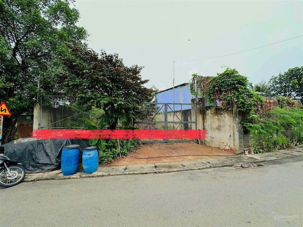 Bất động sản tại Bình Dương - ảnh 1
