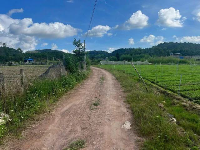 Bất động sản tại Lâm Đồng - ảnh 1