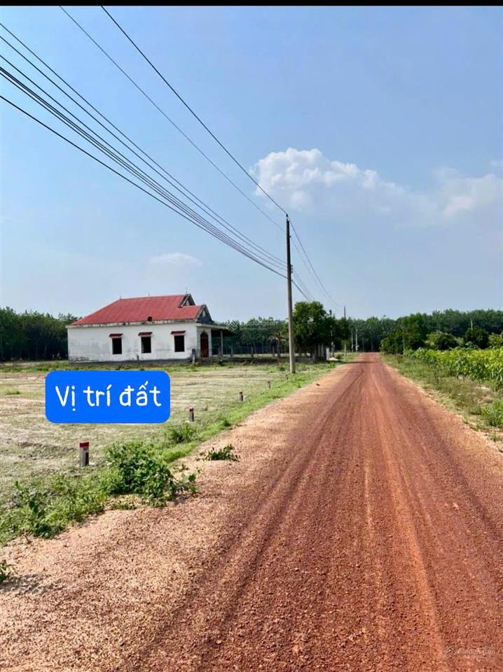 Bất động sản tại Bình Dương - ảnh 1