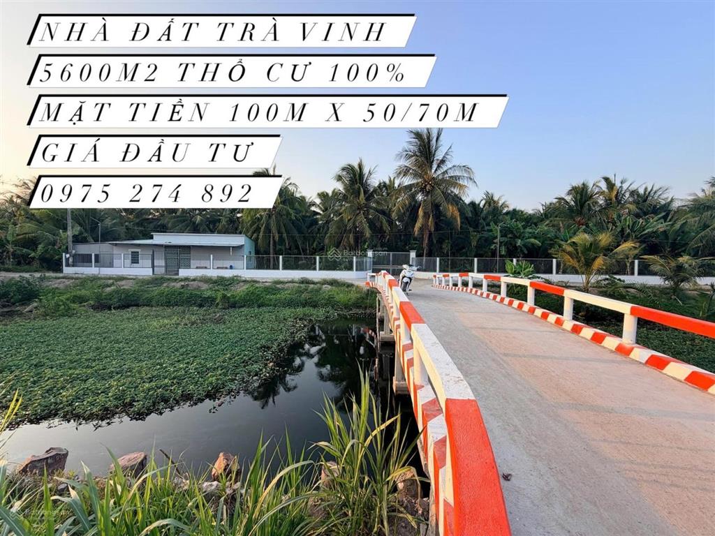 Bất động sản tại Trà Vinh - ảnh 1