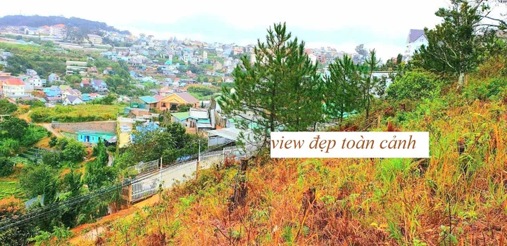 Bất động sản tại Lâm Đồng - ảnh 1
