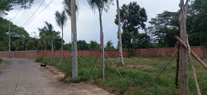 Bất động sản tại An Giang - ảnh 1