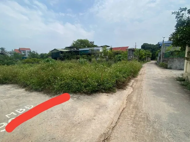 Bất động sản tại Hải Phòng - ảnh 1
