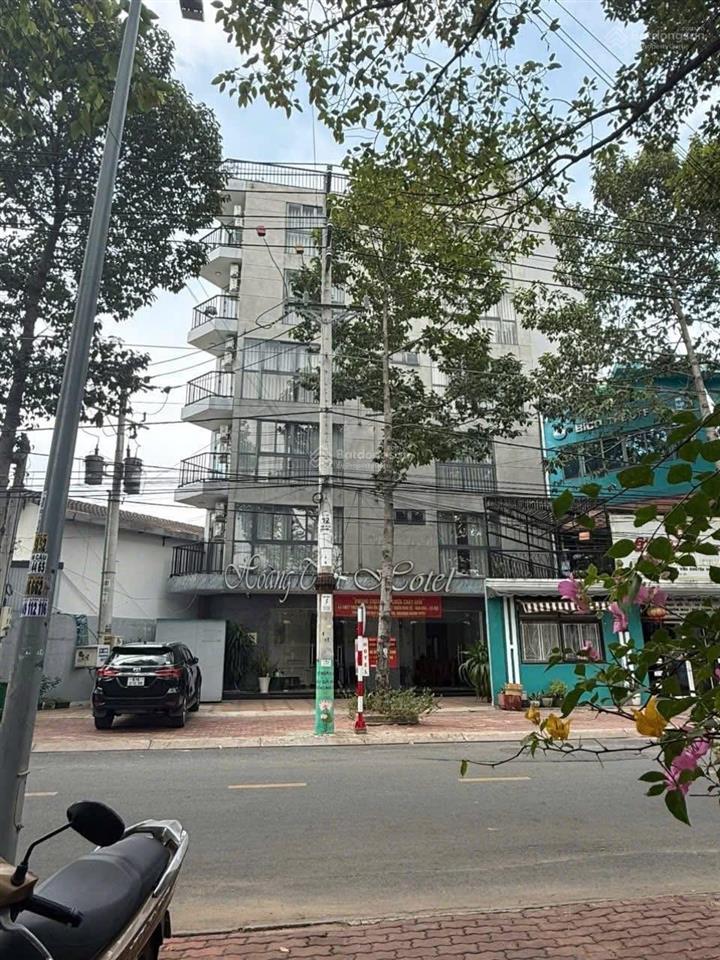 Bất động sản tại Bình Dương - ảnh 1