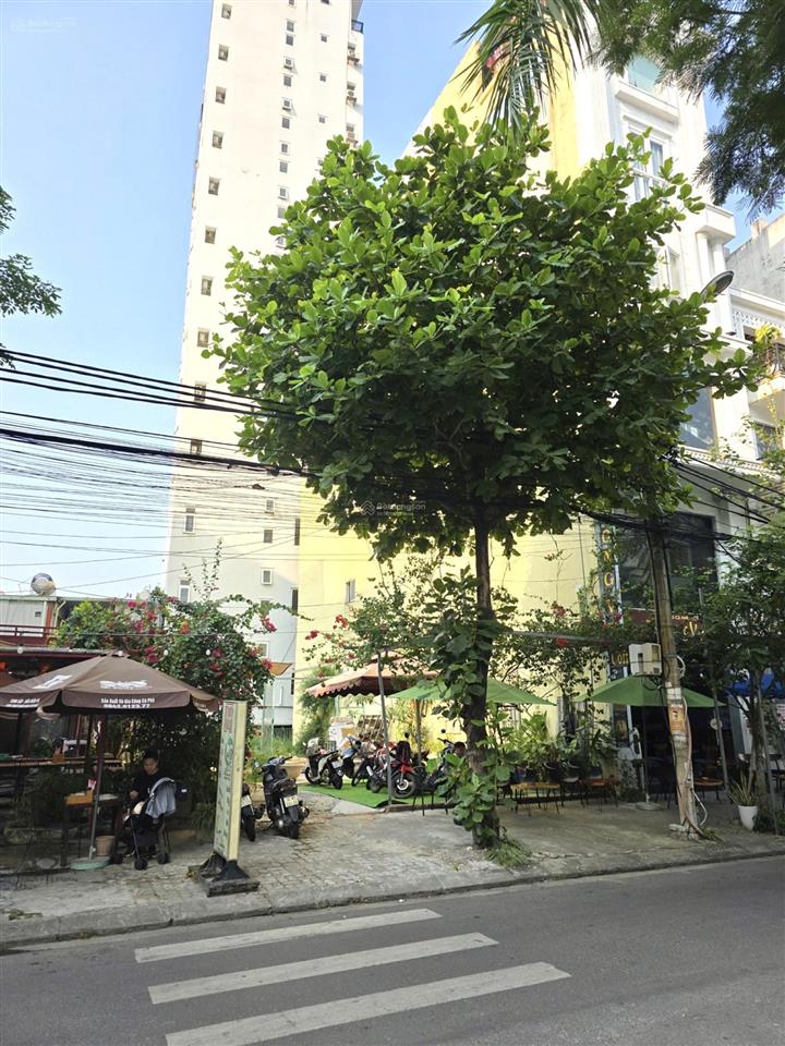 Bất động sản tại Đà Nẵng - ảnh 1