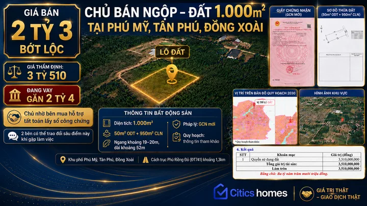 Bất động sản tại Bình Phước - ảnh 1
