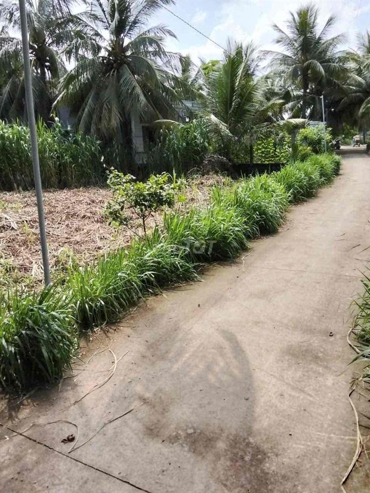 Bất động sản tại Tiền Giang - ảnh 1