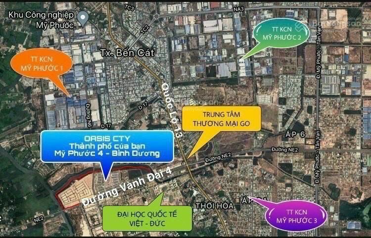 Bất động sản tại Bình Dương - ảnh 1
