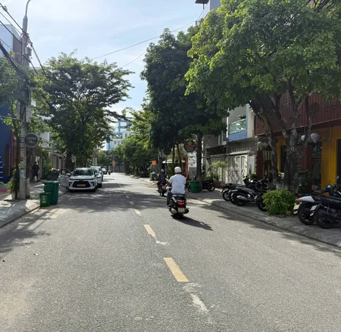 Bất động sản tại Đà Nẵng - ảnh 1