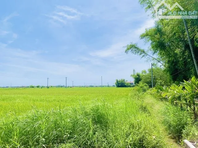 Bất động sản tại Quảng Nam - ảnh 1
