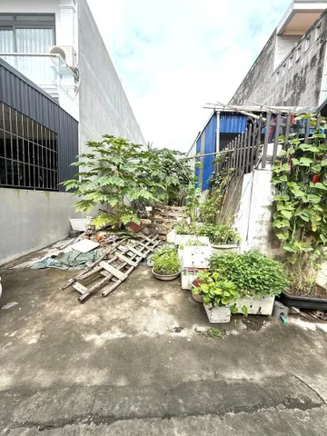 Bất động sản tại Hải Phòng - ảnh 1