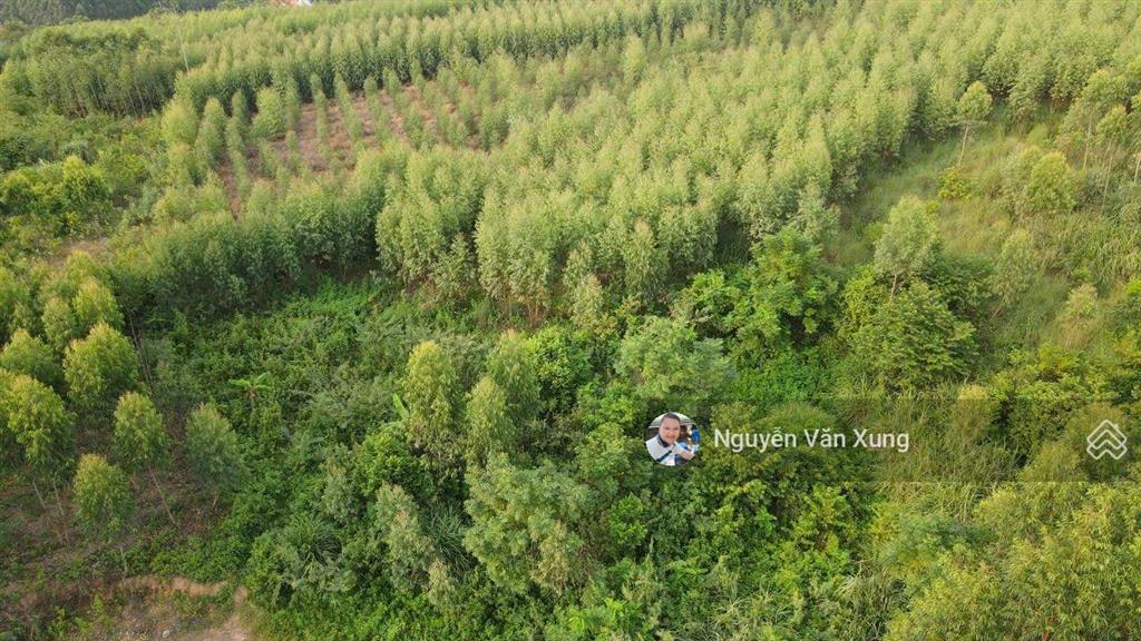 Bất động sản tại Bắc Giang - ảnh 1