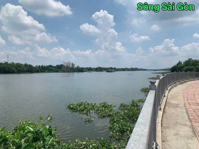 Bất động sản tại Bình Dương - ảnh 1