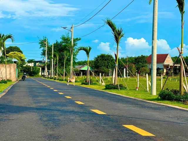 Bất động sản tại Bình Dương - ảnh 1