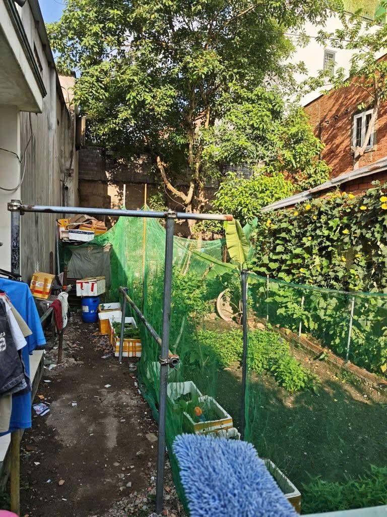 Bất động sản tại Bình Dương - ảnh 1