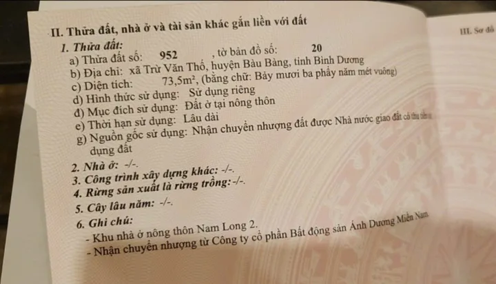 Bất động sản tại Bình Dương - ảnh 1