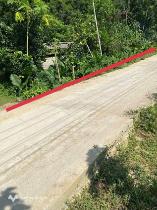 Bất động sản tại Vĩnh Phúc - ảnh 1