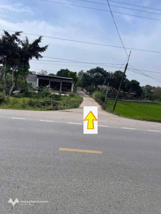 Bất động sản tại Vĩnh Phúc - ảnh 1