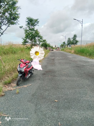 Bất động sản tại Cà Mau - ảnh 1