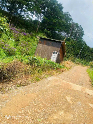Bất động sản tại Lâm Đồng - ảnh 1