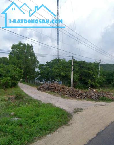 Bất động sản tại Bình Thuận - ảnh 1