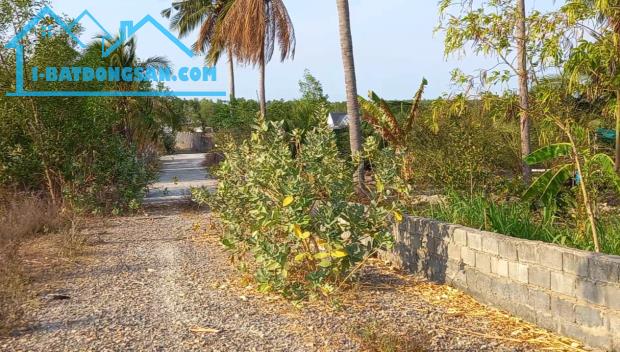 Bất động sản tại Bình Thuận - ảnh 1