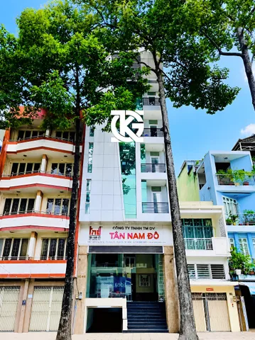 Bất động sản tại TP. Hồ Chí Minh - ảnh 1